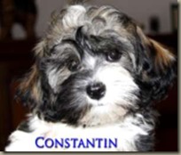 Constantin 2 21.6.10