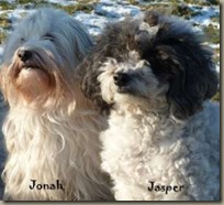 Jasper und Jonah